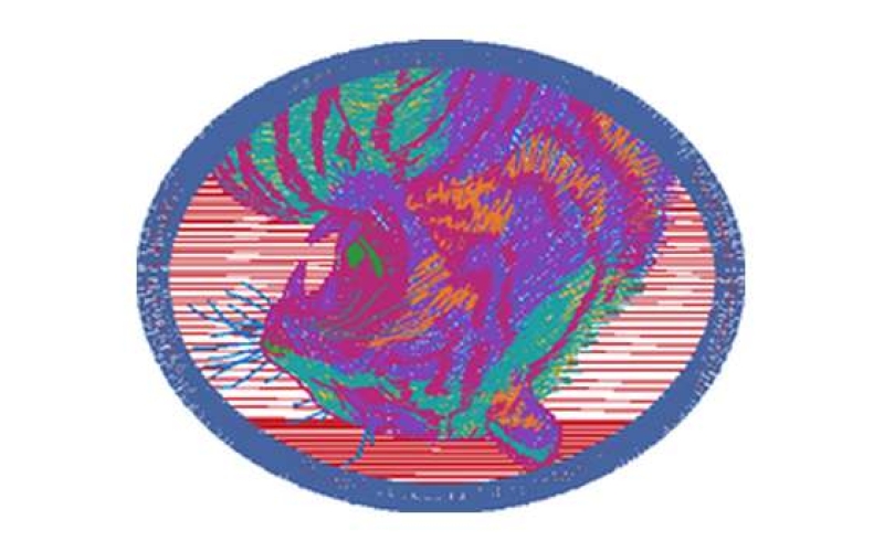 虎头图案