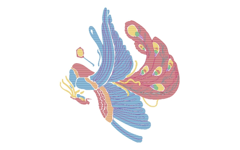 孔雀