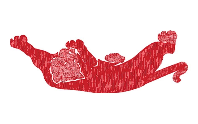 豹