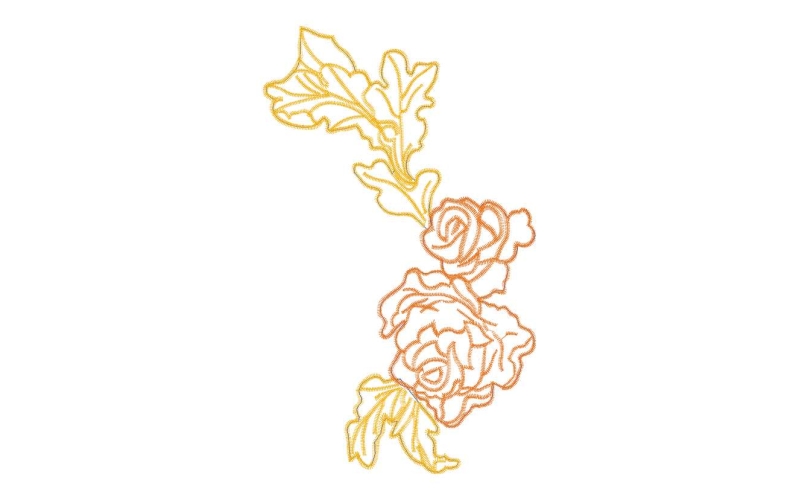 美丽花卉