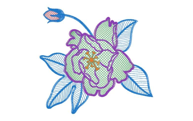美丽花卉