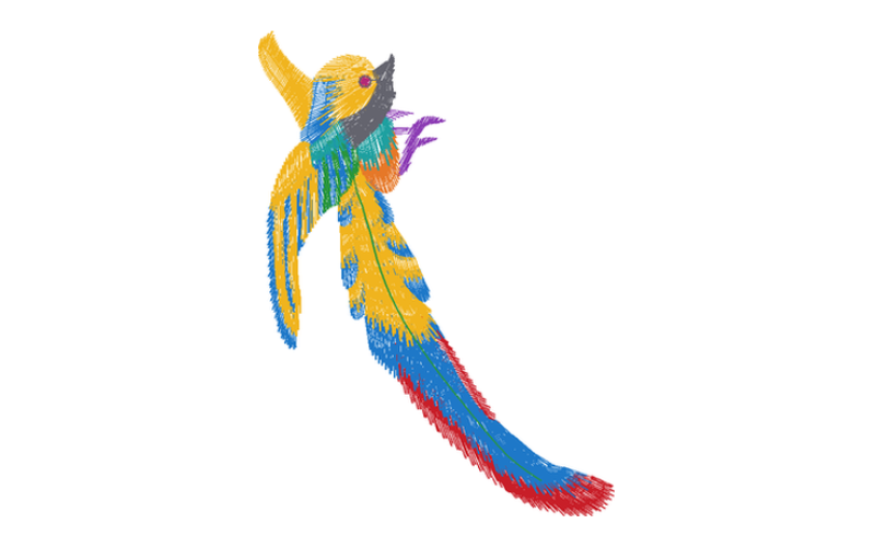 鸟