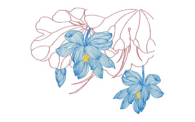 莲花