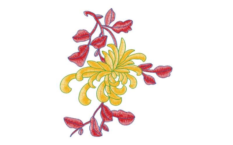 美丽花卉