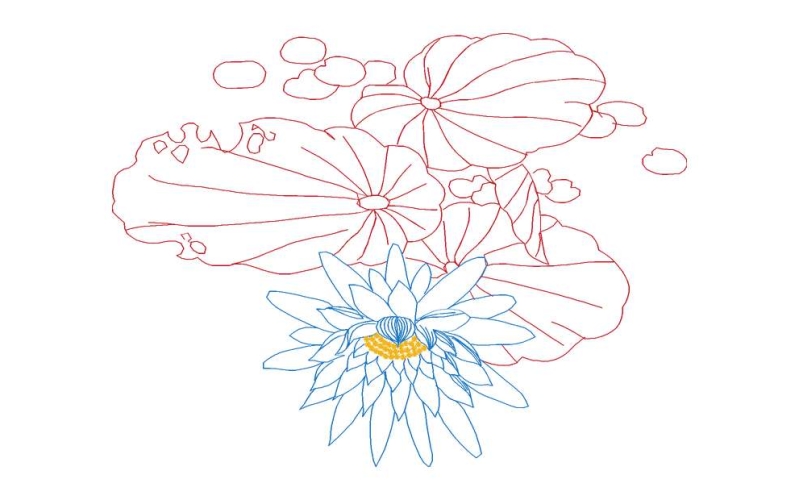 莲花