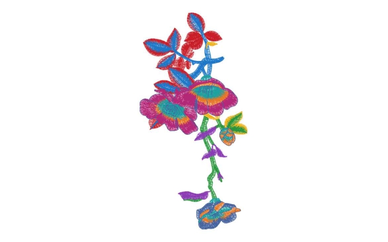 美丽花卉