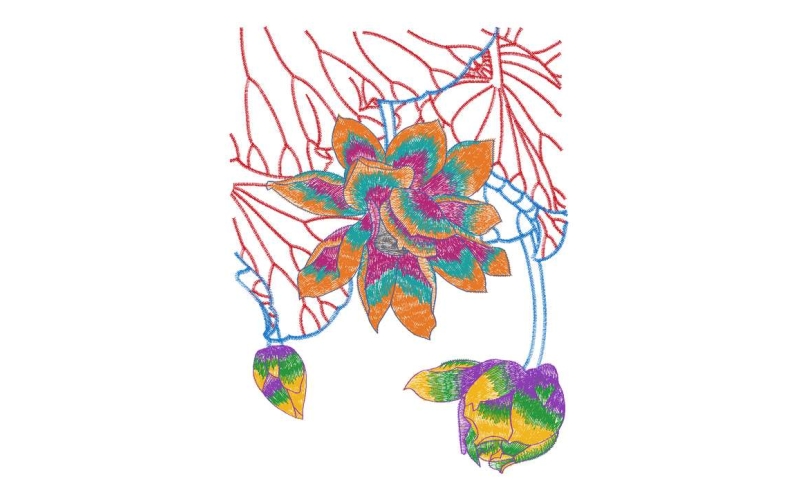 莲花
