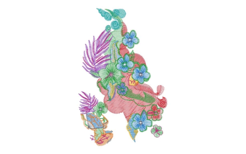 美丽花卉
