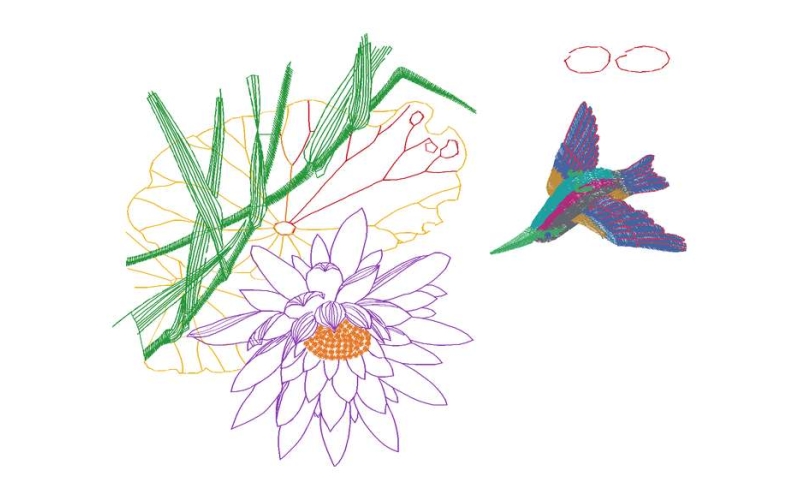 美丽花鸟