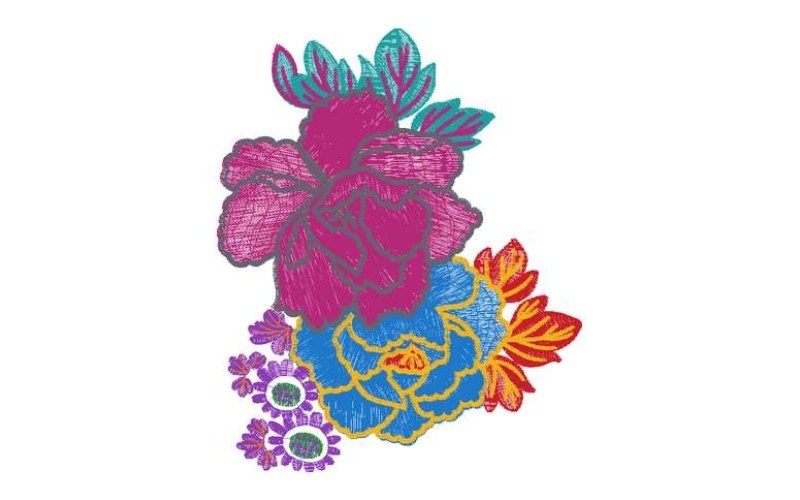 美丽花卉