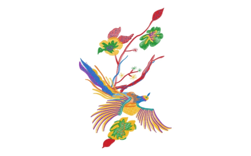 鸟
