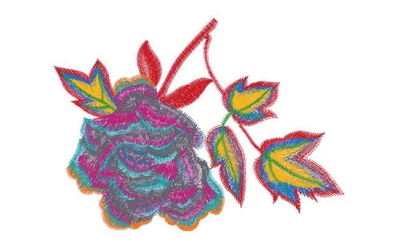 美丽花卉