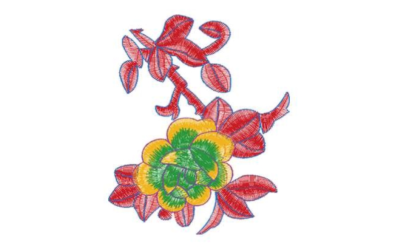 美丽花卉