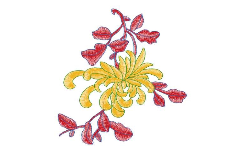 美丽花卉
