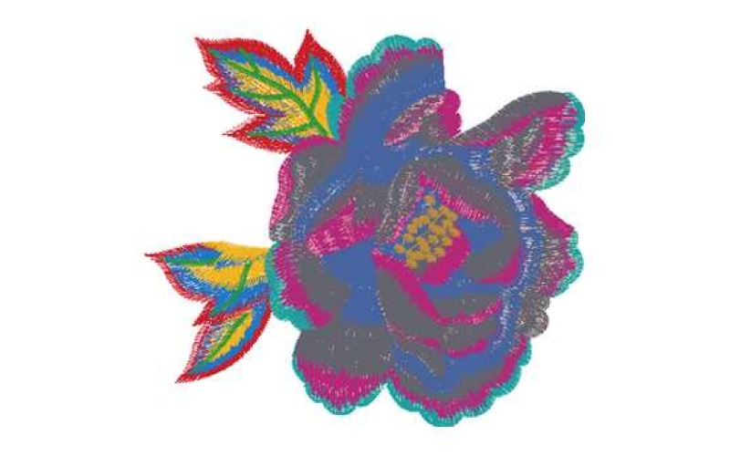 美丽花卉