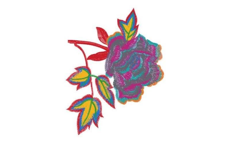 美丽花卉