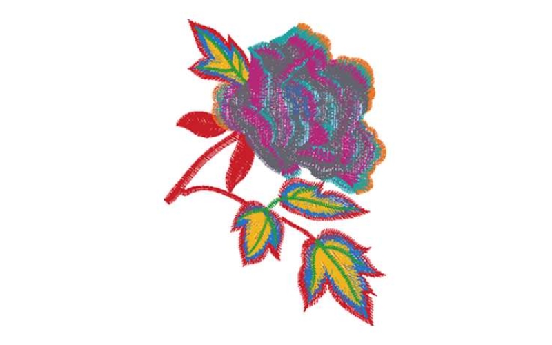 美丽花卉