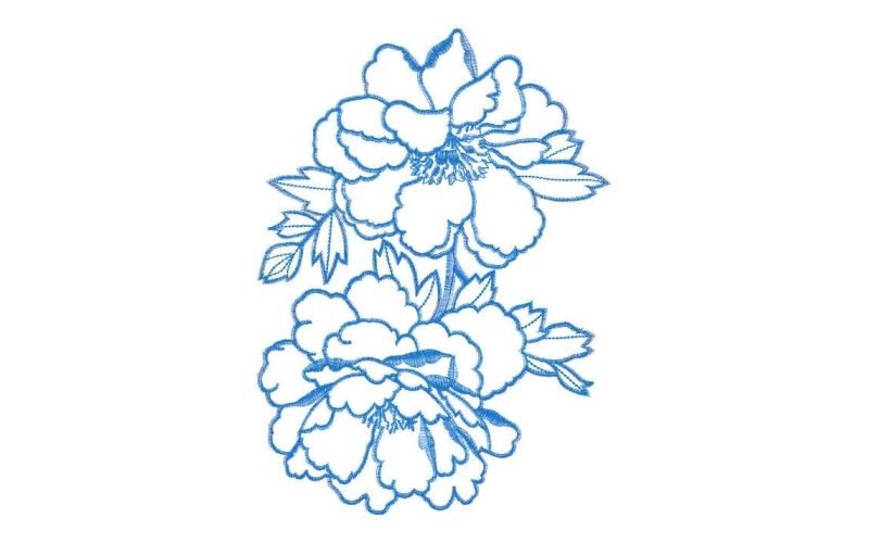 美丽花卉