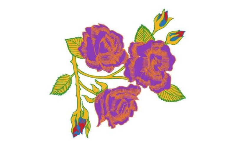美丽花卉