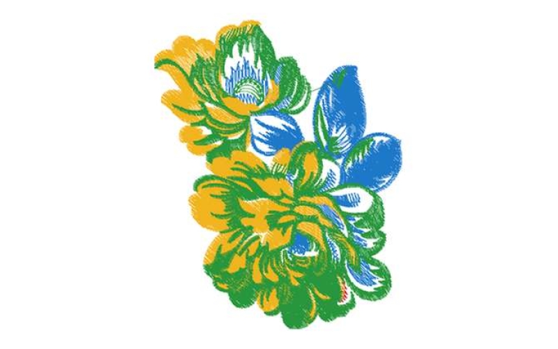 美丽花卉