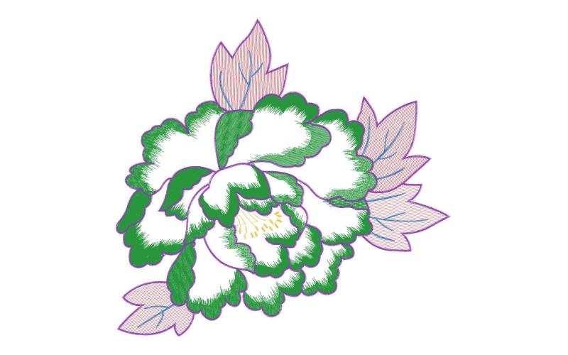 美丽花卉