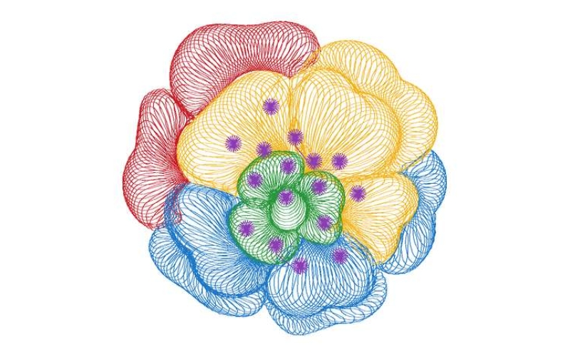 美丽花卉
