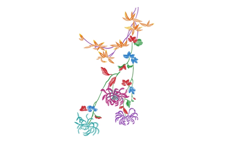 美丽花卉
