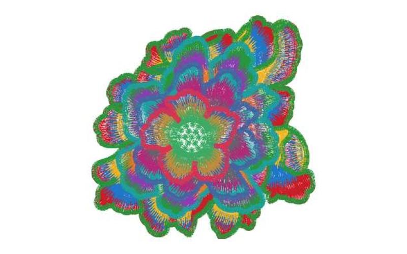 美丽花卉