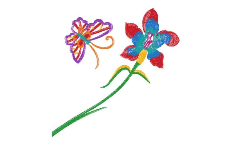 美丽花卉