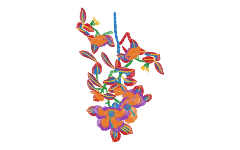 美丽花卉