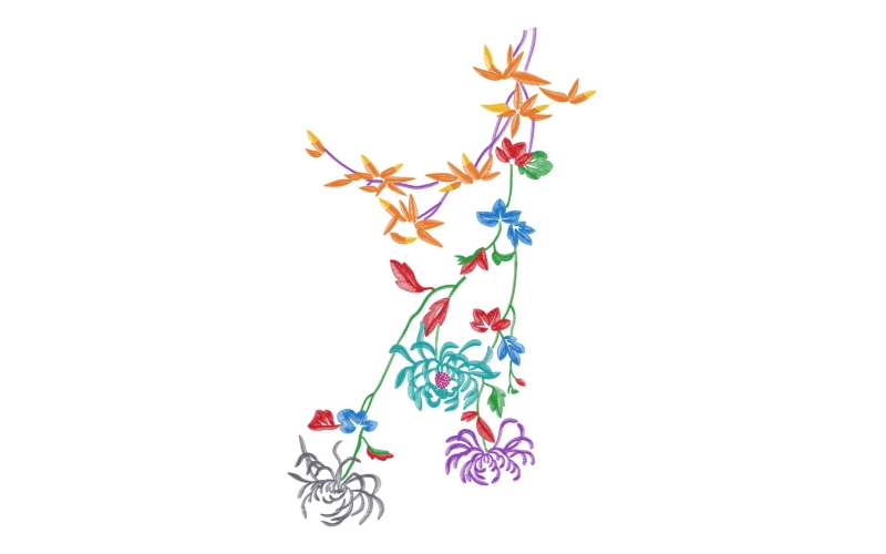 美丽花卉