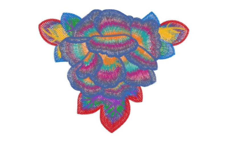 美丽花卉