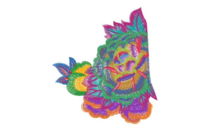 美丽花卉