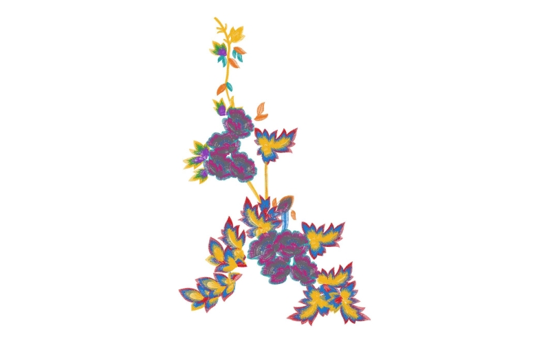美丽花卉